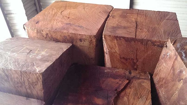 Gỗ Hương vân Nam Phi