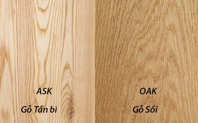 Gỗ tần bì khác gỗ sồi như thế nào?